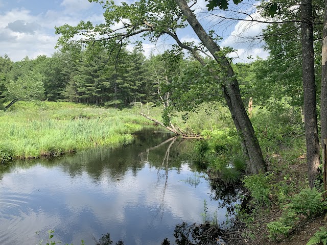 Amherst, NH